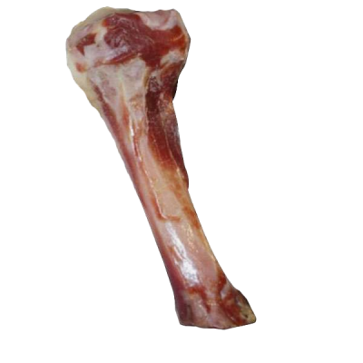 Ein roher Tierknochen mit Fleischresten ist abgebildet