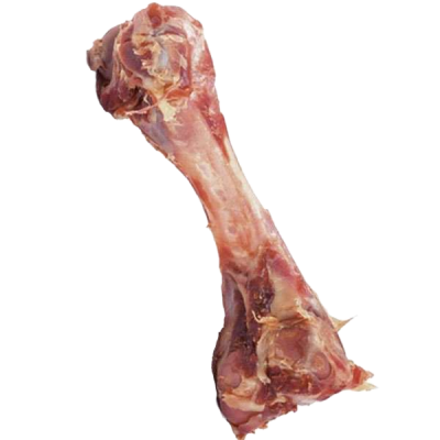 Ein roher Tierknochen mit Fleischresten ist abgebildet.