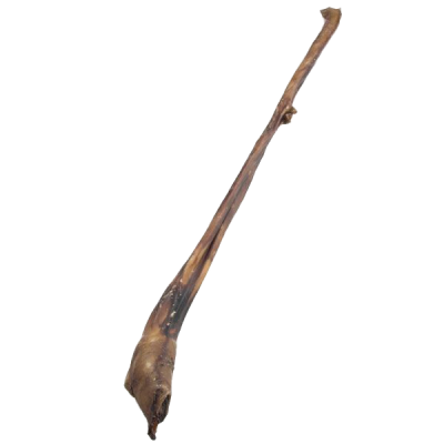 Ein sehr langer, brauner Kausnack in natürlicher, leicht gedrehter Stabform mit dunklen und hellen Stellen sowie rauer, harter Oberfläche, schräg auf weißem Hintergrund fotografiert.