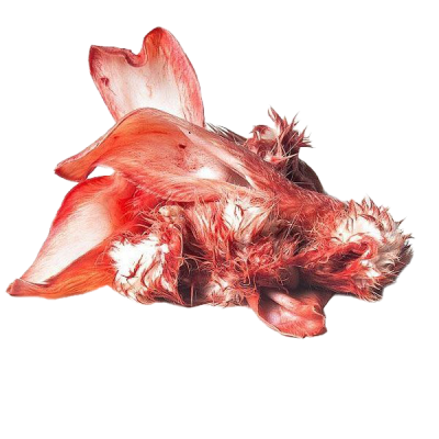 Rohe Kaninchenohren mit Fell und Hautresten, unregelmäßig geformt. Die Oberfläche ist rot bis rosa mit teils behaarten und teils glatten Bereichen.