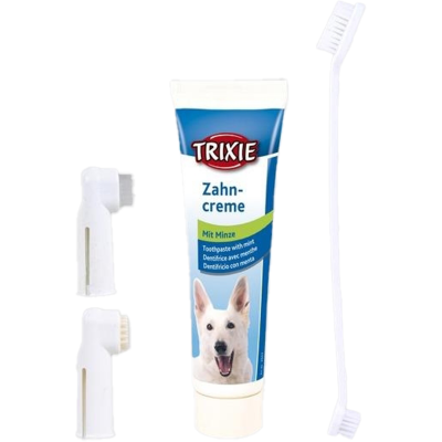 Weiße Tube mit blauem Etikett, daneben drei verschiedenfarbige Zahnbürsten mit unterschiedlich geformten Bürstenköpfen.