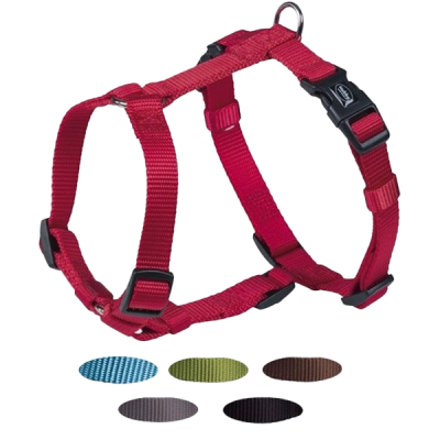 Ein rotes Hundegeschirr aus Nylon mit verstellbaren Gurten, schwarzem Klickverschluss und Metallring am Rücken. Die Struktur ist glatt, das Material wirkt robust und formstabil.