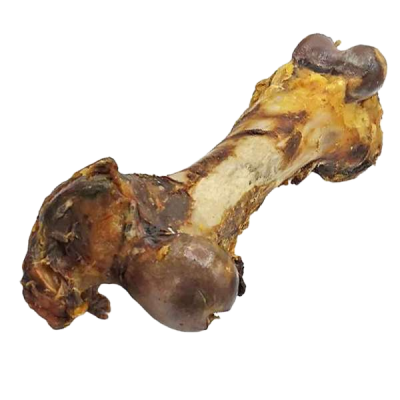 Ein heller, länglicher Rinderknochen mit zwei stark verdickten Enden und teils haftenden, dunklen Fleisch- und Knorpelresten in unregelmäßiger Form.