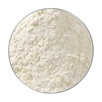 Ein kreisförmiger Bildausschnitt zeigt ein fein gemahlenes, hellbeiges bis cremefarbenes Pulver mit leicht unregelmäßiger, körniger Struktur.