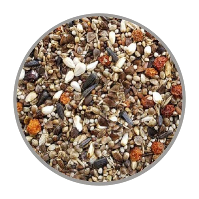 Nahaufnahme einer Mischung aus Sonnenblumenkernen, Kürbiskernen, kleinen Körnern und orangefarbenen Trockenfrüchten in runder Darstellung mit grauem Rand.