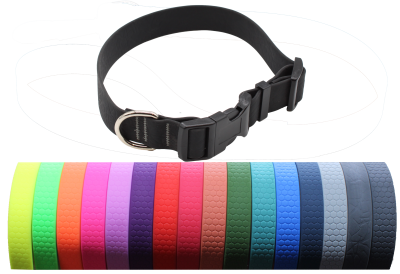 Ein schwarzes Hundehalsband mit Steckverschluss aus Kunststoff und silbernem Metallring. Das Material wirkt glatt und leicht strukturiert. Verstellbare Länge durch Kunststoffschieber.