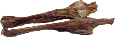 Zwei getrocknete Pferdeachillessehnen mit Knochen mit langen, faserigen Strukturen in braun-grauer Farbe, an einem Ende mit deutlich sichtbarem Knochenansatz und sehniger Textur.