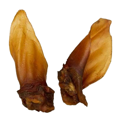 Zwei getrocknete Rinderohren mit Muschel in glänzendem Hellbraun. Die Ohren sind schmal, leicht gebogen und zeigen eine glatte, feste Oberfläche.