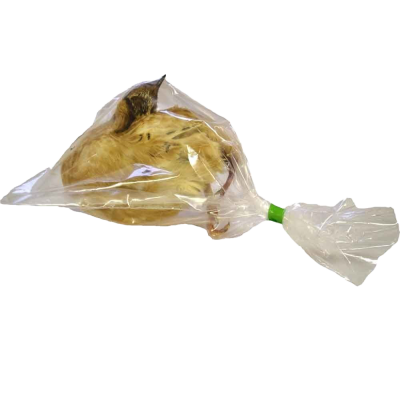 Eine ganze Wachtel mit gelbbraunem Gefieder liegt tiefgefroren in einem durchsichtigen Kunststoffbeutel, der seitlich mit einem grünen Clip verschlossen ist.